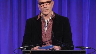 دنیل دی‌لوییس: هیچ‌وقت واقعاً قصد بازنشستگی نداشتم