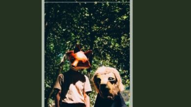 دو خرگوش در جنگل با روباهی روبه‌رو می‌شوند، می‌ترسند و ترس.../ «جبر و احتمال» به صحنه می‌رود