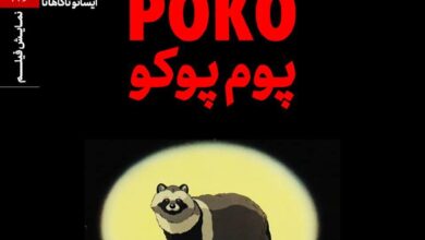 راکون‌های مبارز ژاپنی روی پرده خانه هنرمندان