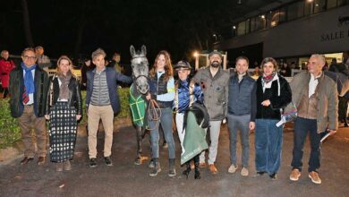 شب تاریخی اسب‌دوانی ایران در فرانسه/ پیست تولوز در تصرف تی‌اس وسیما و نرسی!