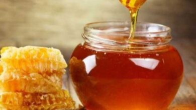پایان یک شایعه درباره عسل