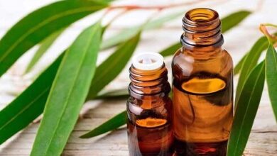 گیاهی مفید برای آبرسانی پوست و درد مفاصل