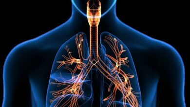 ۵ تمرین برای تقویت ریه