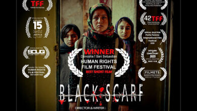 عنکبوت‌ها همسران خود را می‌خورند/ جایزه ۵۰۰ یورویی جشنواره فرانسه به «شال سیاه» رسید