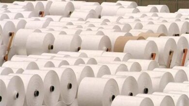 پرونده ۵ هزار تن کاغذ در ایستگاه آخر/ توقیف ۱۶۳ کانتینر به نفع وزارت ارشاد