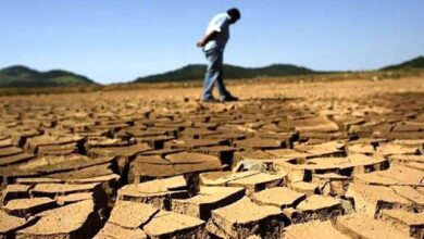کاریکاتور تلخ برای بحران آب