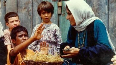 پخش «باشو غریبه کوچک» از تلویزیون