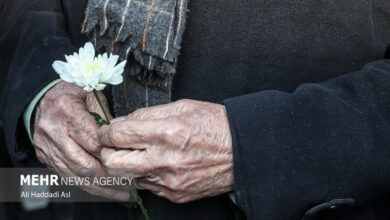 مزار هنرمندان موسیقی در اولین روز فجر چهل و یکم گلباران شد