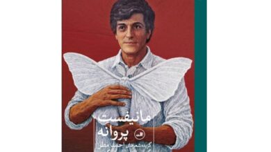 شعرهایی شبیه پلاکاردهای سیاسی