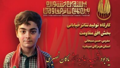 یادبود ماکان نصیری در میناب