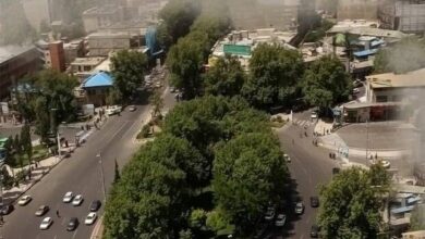 «طجرشت» مسافر استانبول شد