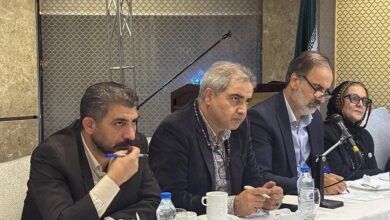 تئاتر عروسکی باید به اجرای مستمر برسد